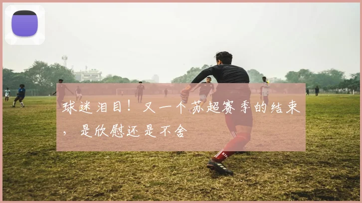 球迷泪目!又一个苏超赛季的结束,是欣慰还是不舍
