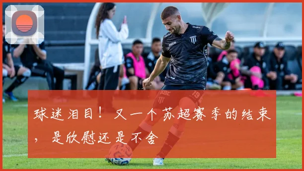 球迷泪目!又一个苏超赛季的结束,是欣慰还是不舍